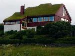 綠屋頂